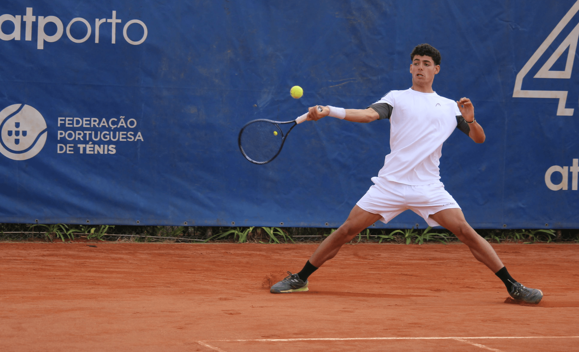 Corrente do CDN está bem e recomenda-se (vídeo)